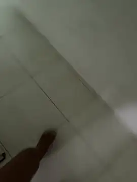 gabrielacachorra online show from 17, 4, 2026