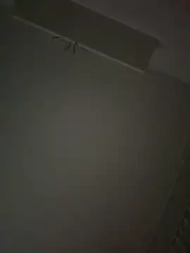 tony3729 online show from 19, 3, 2026