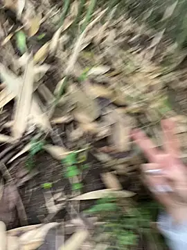 Lyn-be99 online show from 15, 2, 2026