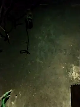 Snapshot of Hoa-tuylip chatting on 13, 2, 2026 Hoa-tuylip online show from 13, 2, 2026