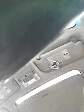 Sunflower0025 online show from 31, 1, 2026