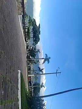 Snapshot of Gustavo52367 chatting on 20, 2, 2026 Gustavo52367 online show from 20, 2, 2026