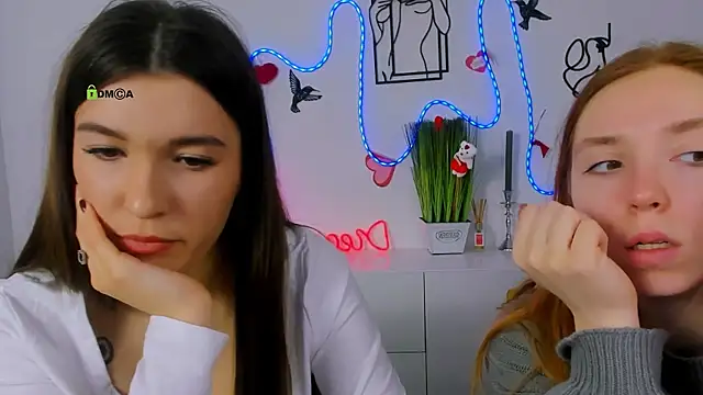 stella flower online show from 22, 2, 2026