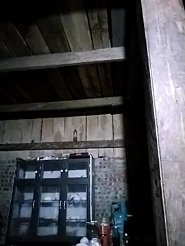 Neoone 1 online show from 14, 4, 2026