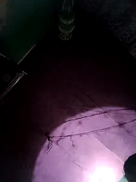 Snapshot of bhavna_pandit chatting on 17, 2, 2026 bhavna pandit online show from 17, 2, 2026