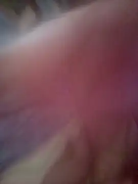 Alka sexy56 online show from 20, 3, 2026