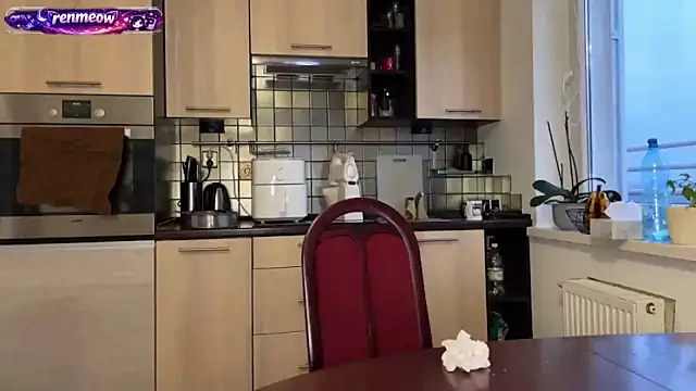 Snapshot of RenMeow chatting on 17, 2, 2026 RenMeow online show from 17, 2, 2026