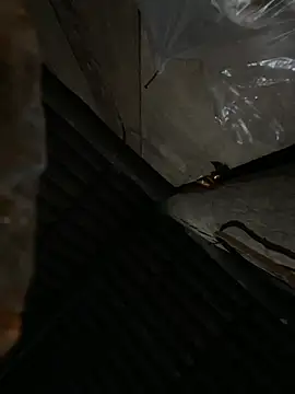 bikhidj online show from 13, 4, 2026