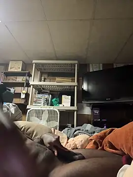 ProveYourLoyalty2 online show from 19, 3, 2026