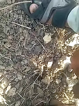 Cute Boy 4 online show from 12, 2, 2026