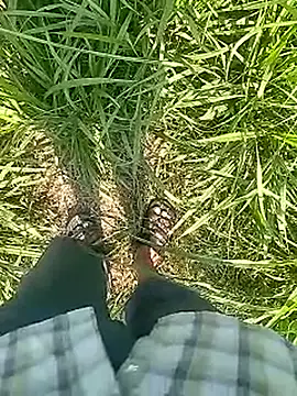 Cute Boy 4 online show from 22, 2, 2026