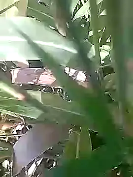 Cute Boy 4 online show from 1, 3, 2026