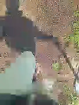 Cute Boy 4 online show from 2, 3, 2026