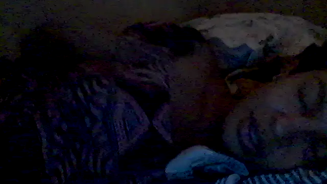 Snapshot of lorraine2036 chatting on 17, 2, 2026 lorraine2036 online show from 17, 2, 2026