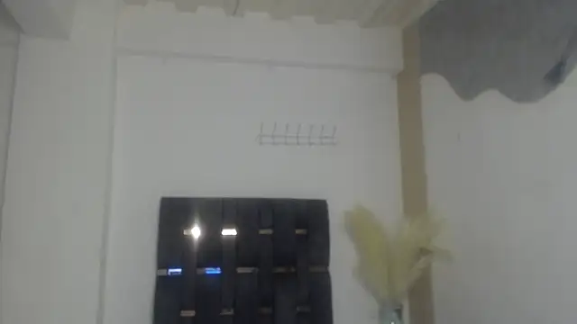 Barbara D Valencia online show from 4, 6, 2026