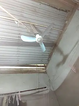 JordanX 01 online show from 3, 4, 2026