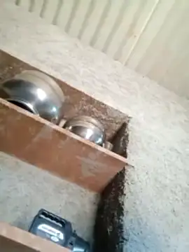 Lucky couple-1 online show from 14, 2, 2026