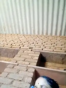 Lucky couple-1 online show from 19, 4, 2026