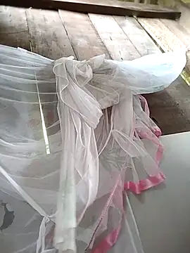 Domita cool online show from 16, 4, 2026