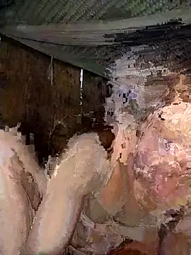 Bella-222 online show from 2, 3, 2026