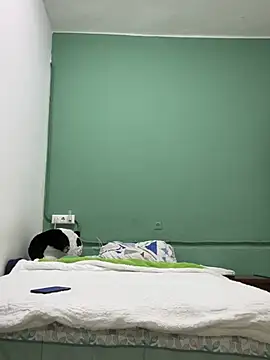 DavShi online show from 25, 2, 2026