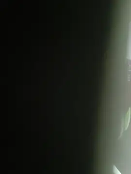 Snapshot of Gordinho_dos_pes chatting on 25, 2, 2026 Gordinho dos pes online show from 25, 2, 2026