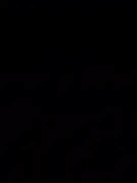 bigbooietx online show from 11, 3, 2026