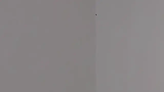 Lilith pink29 online show from 3, 2, 2026