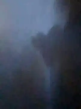 S7LEALTADPERVLIMA7 online show from 21, 4, 2026