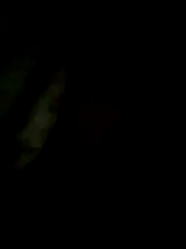 S7LEALTADPERVLIMA7 online show from 28, 5, 2026