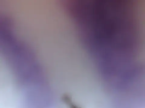 ELIZA 01 online show from 8, 2, 2026