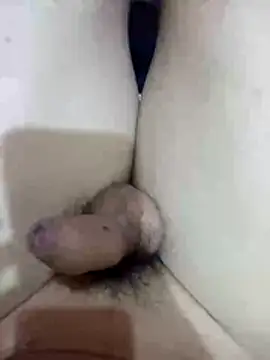 dallm5 online show from 5, 3, 2026