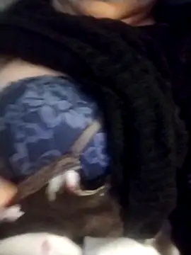 oxavector online show from 3, 2, 2026