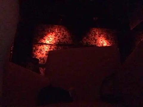 BroodedUlster online show from 30, 5, 2026