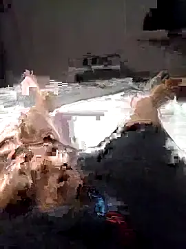 Snapshot of Al-Hari chatting on 4, 2, 2026 Al-Hari online show from 4, 2, 2026