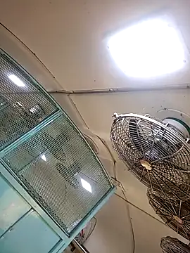 Snapshot of Talkwithsex chatting on 4, 2, 2026 Talkwithsex online show from 4, 2, 2026