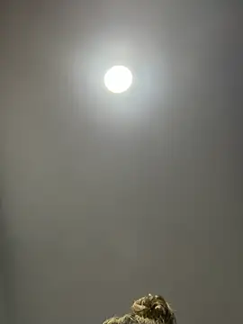 Angelicalove07 online show from 1, 3, 2026