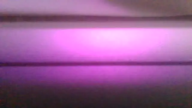 kaimsdecadus555 online show from 12, 2, 2026