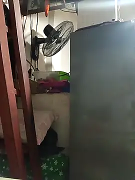 Wildcam21 online show from 19, 2, 2026