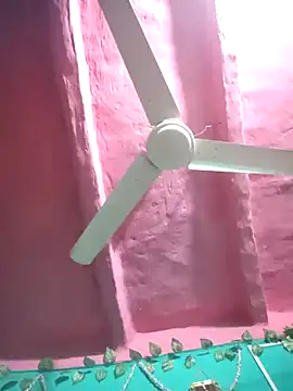 pakhi126 online show from 17, 2, 2026