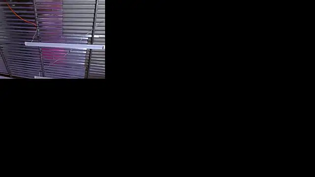 Snapshot of sophi_and_coby chatting on 2, 5, 2026 sophi and coby online show from 2, 5, 2026
