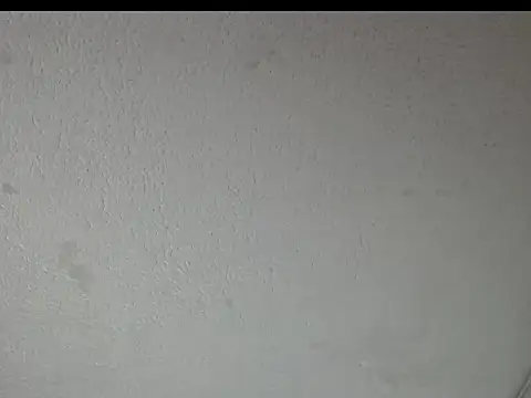 Snapshot of peytonbrunette chatting on 23, 3, 2026 peytonbrunette online show from 23, 3, 2026