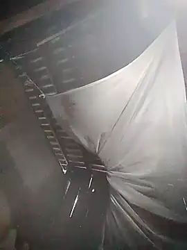 Linka998 online show from 12, 3, 2026