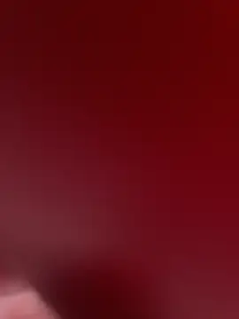 stallone italiano 62 online show from 9, 2, 2026