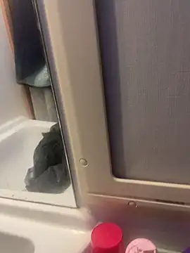 stallone italiano 62 online show from 26, 2, 2026