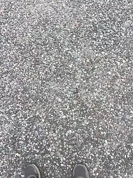 stallone italiano 62 online show from 12, 4, 2026