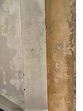 loyalboy 0052 online show from 8, 2, 2026