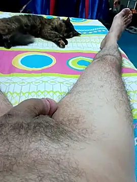 JFC161612 online show from 8, 4, 2026