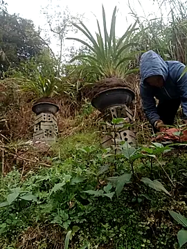 Snapshot of nelina_12345 chatting on 15, 2, 2026 nelina 12345 online show from 15, 2, 2026