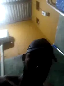 Deniodamasio online show from 1, 3, 2026